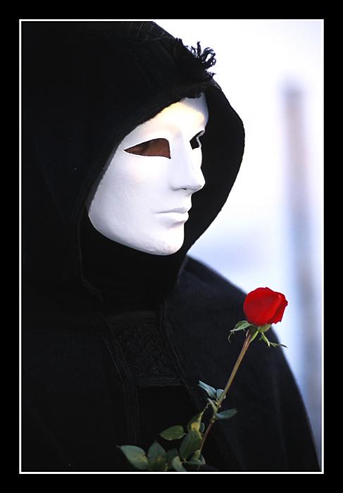 【admirer】什么意思_英语admirer的翻译_